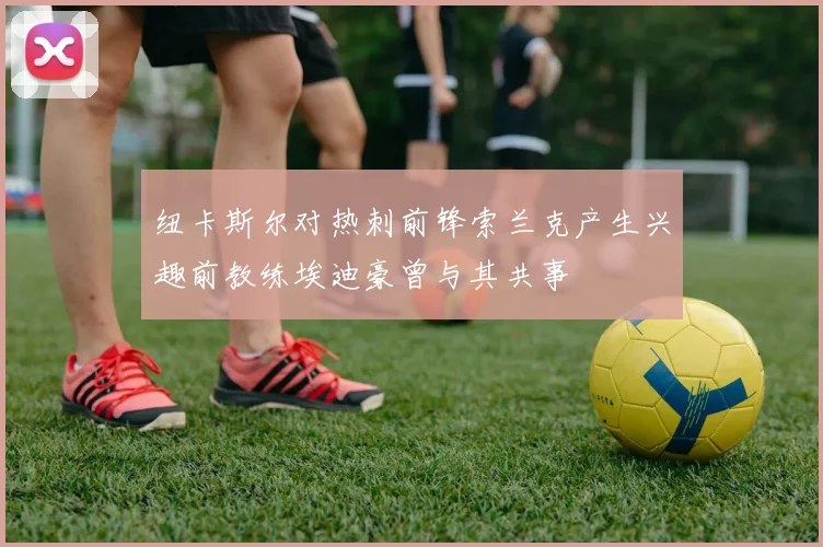 纽卡斯尔对热刺前锋索兰克产生兴趣前教练埃迪豪曾与其共事
