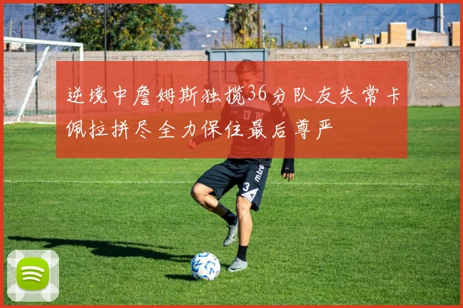 逆境中詹姆斯独揽36分队友失常卡佩拉拼尽全力保住最后尊严