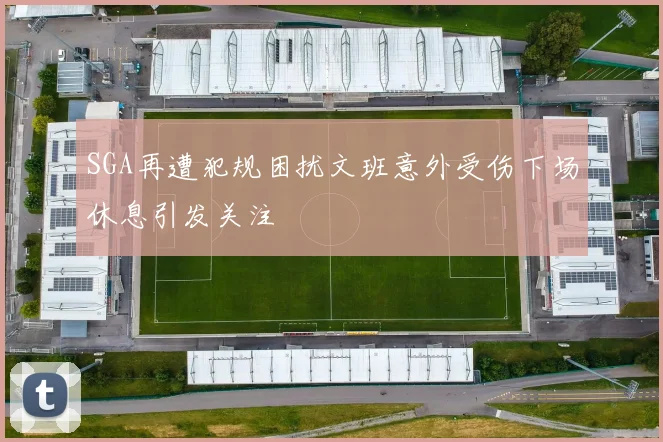 SGA再遭犯规困扰文班意外受伤下场休息引发关注